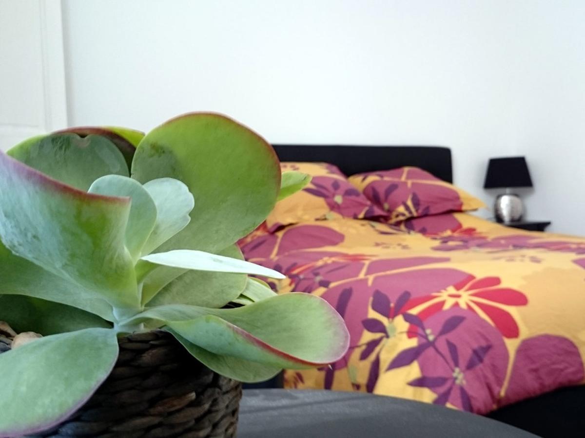 モンペリエ ル クロ シェ ミシェル Bed & Breakfast エクステリア 写真